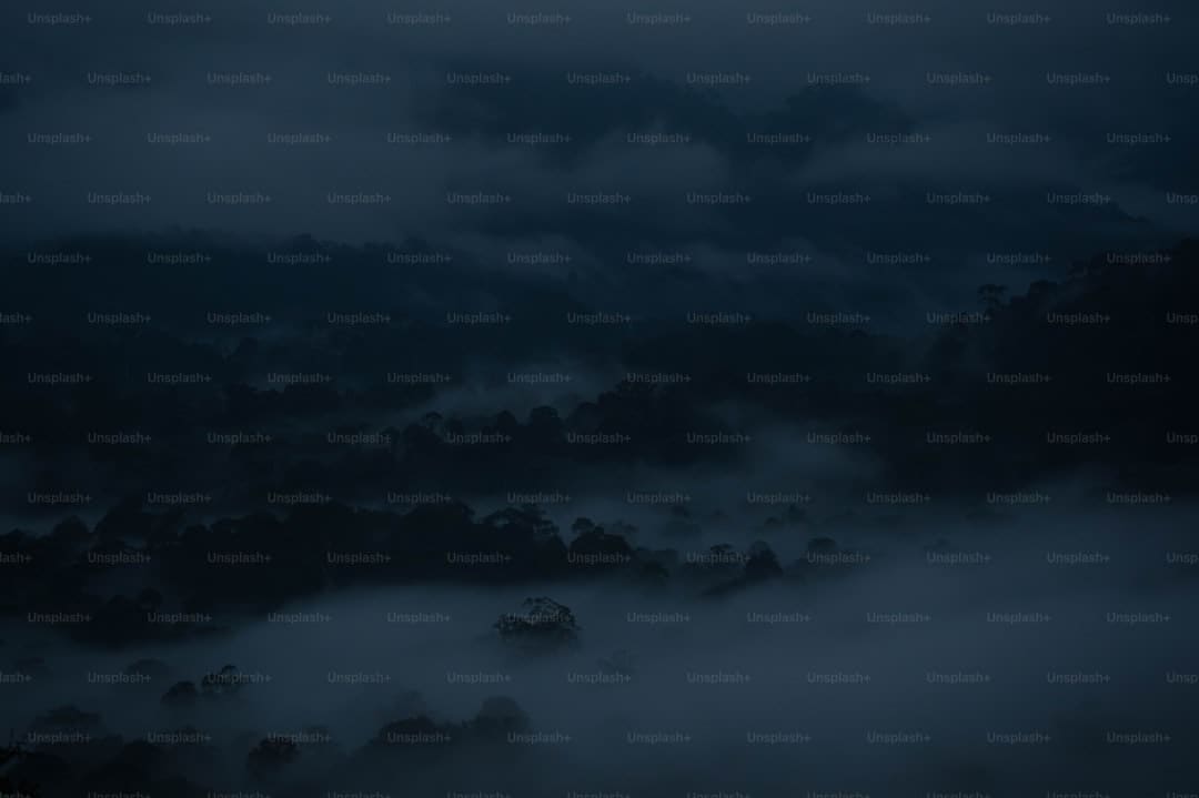 张雨绮婚讯揭露 感恩关怀收成祝愿